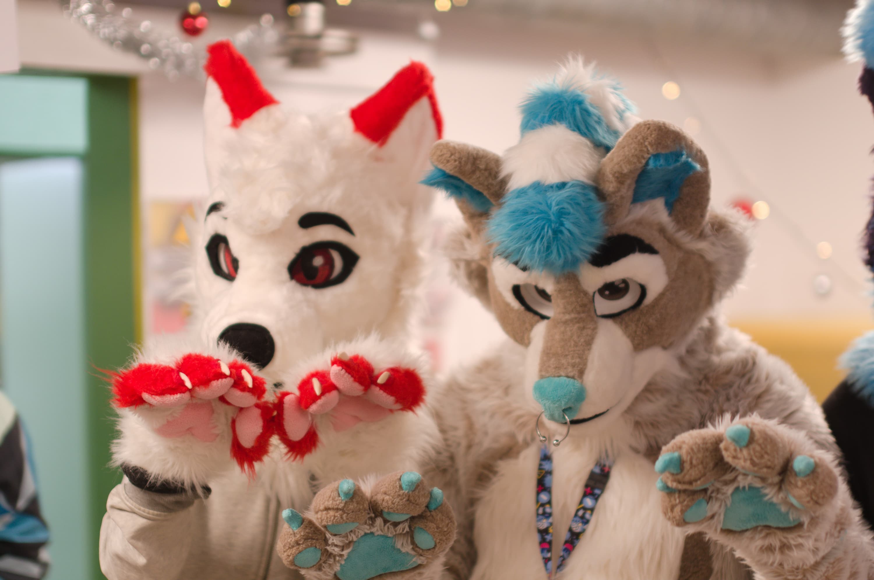 A white fursuit with red accents showing their paws towards the camera with another blue,white,grey fursuit next to them doing the same thing
